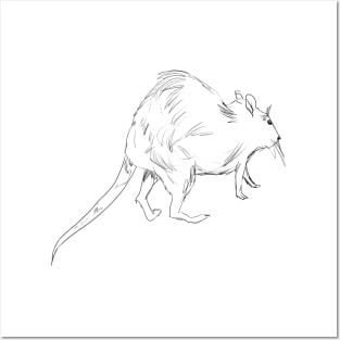 Sketch Rat Posters and Art